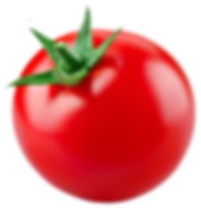 Tomato