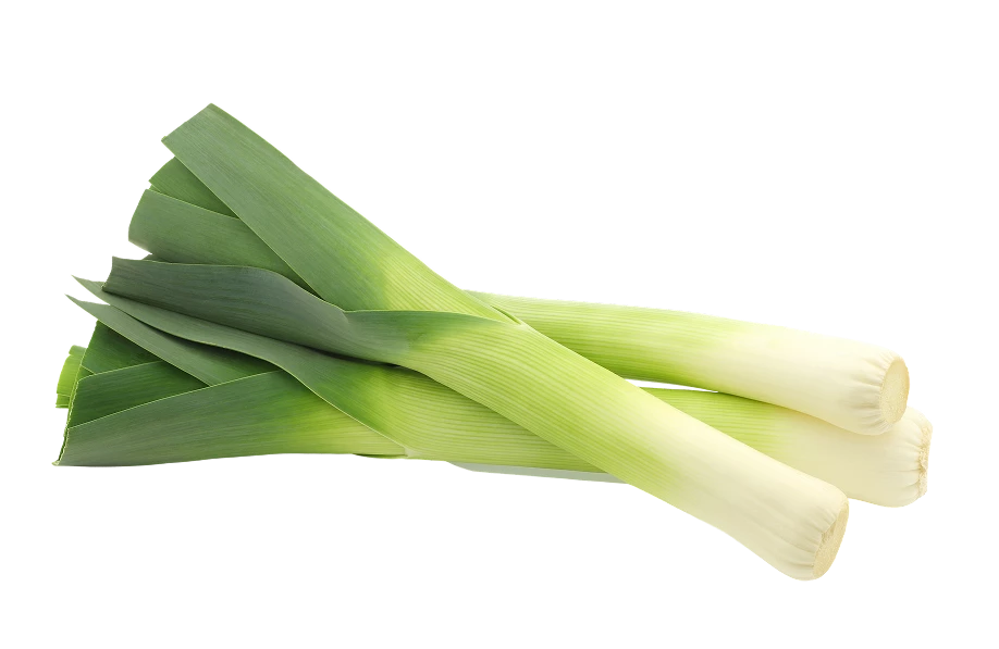 Leek