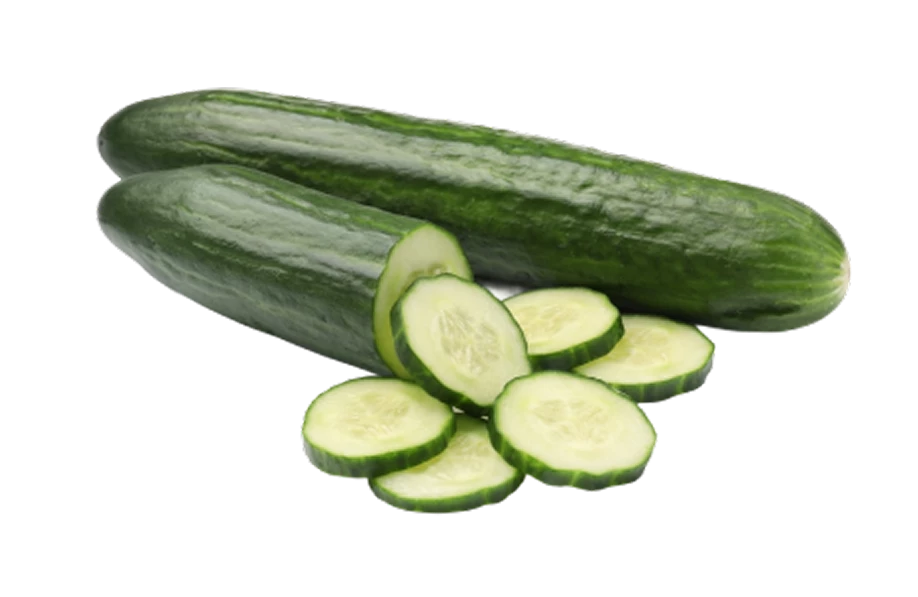 Cucumber