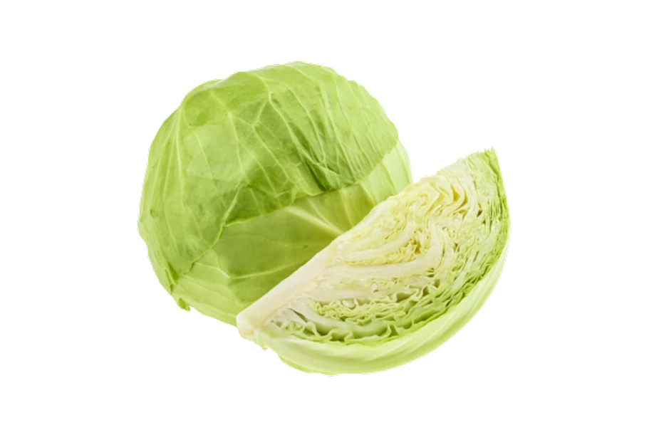 Cabbage
