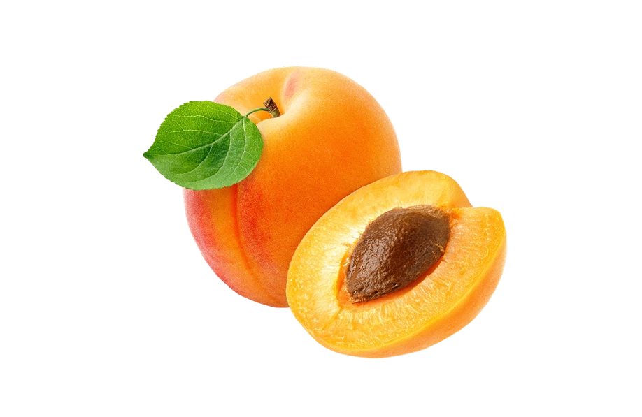 Apricot