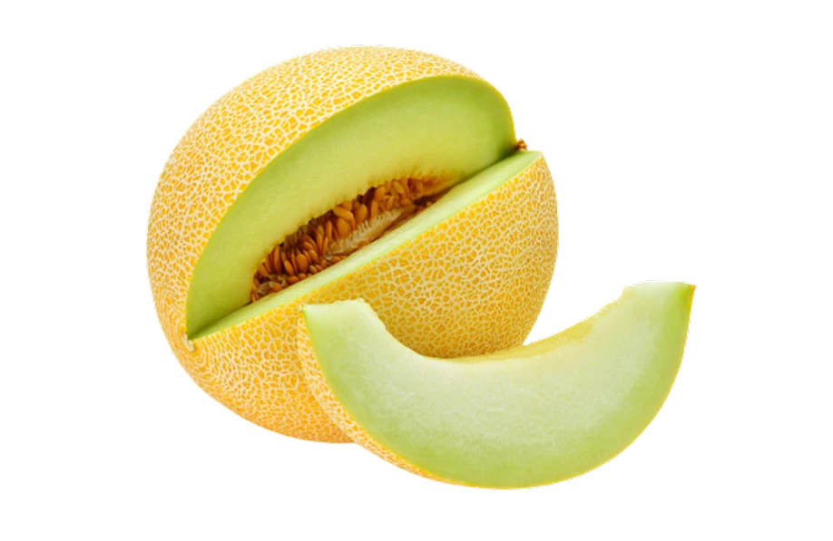 Melon