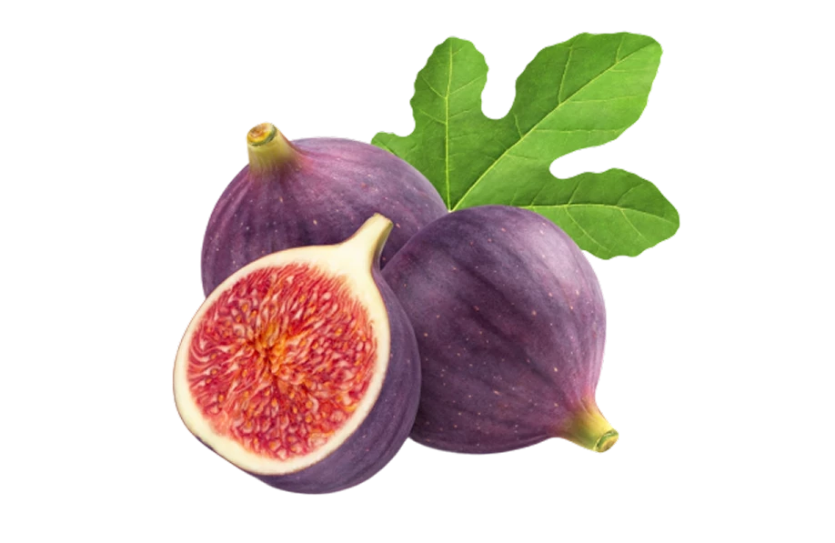 Fig