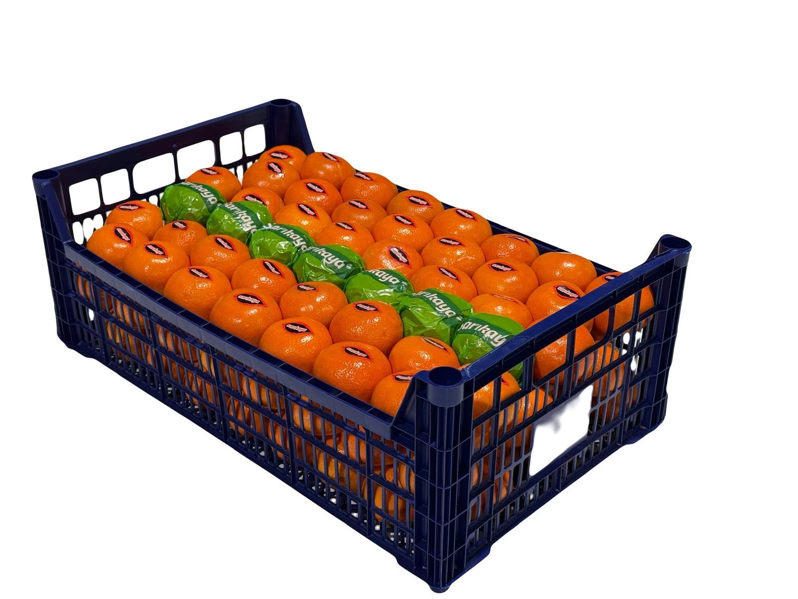 30*40*17 Plastic Case