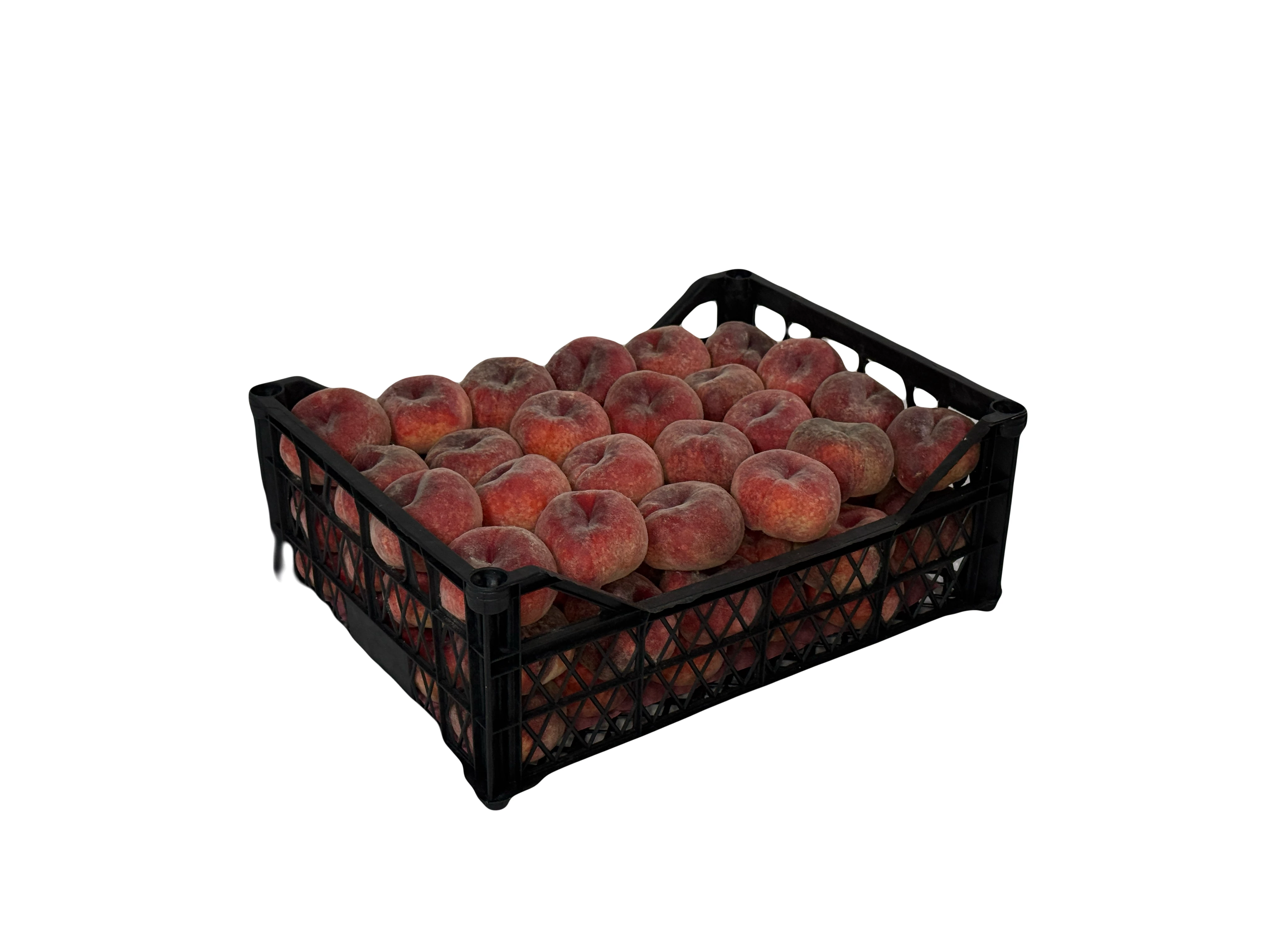 30*40*14 Plastic Case