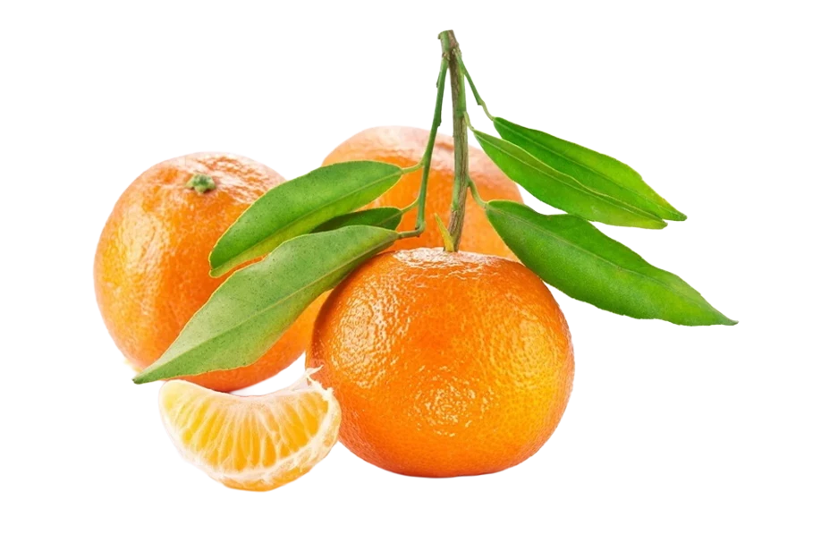 Primasol 