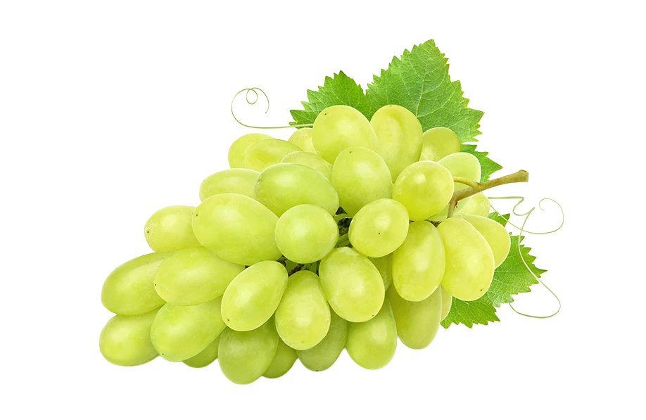 Sultana