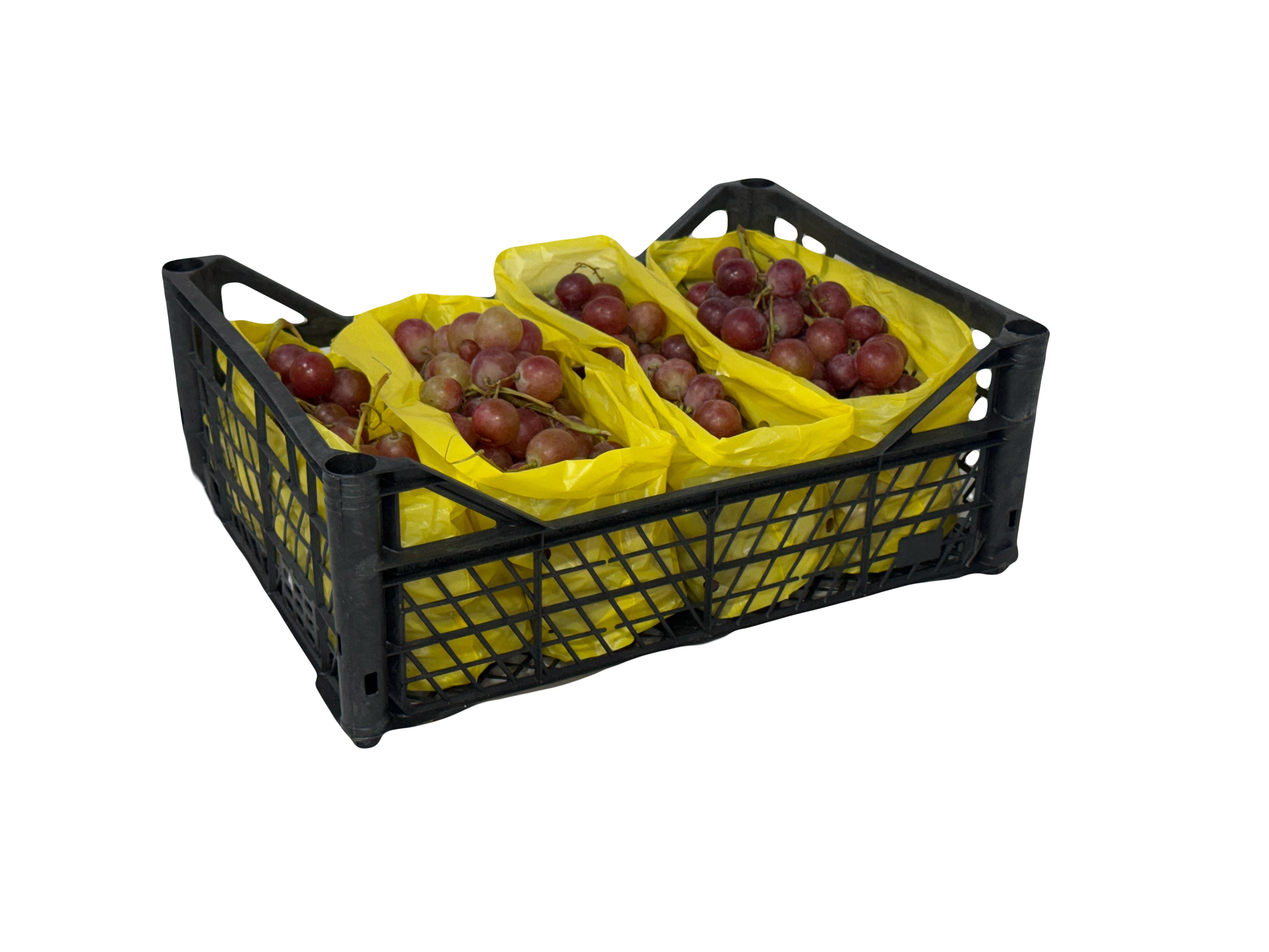 30*40*14 Plastic Case
