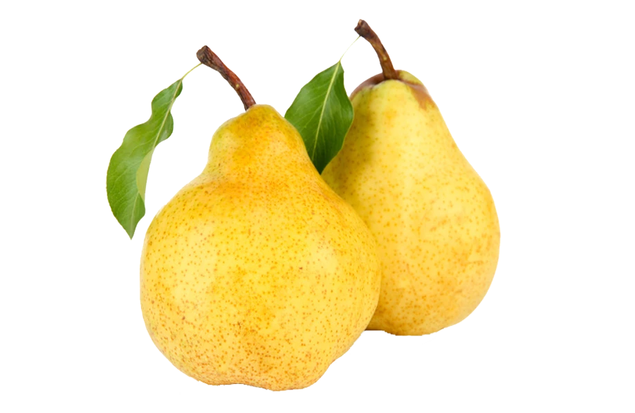 Deveci