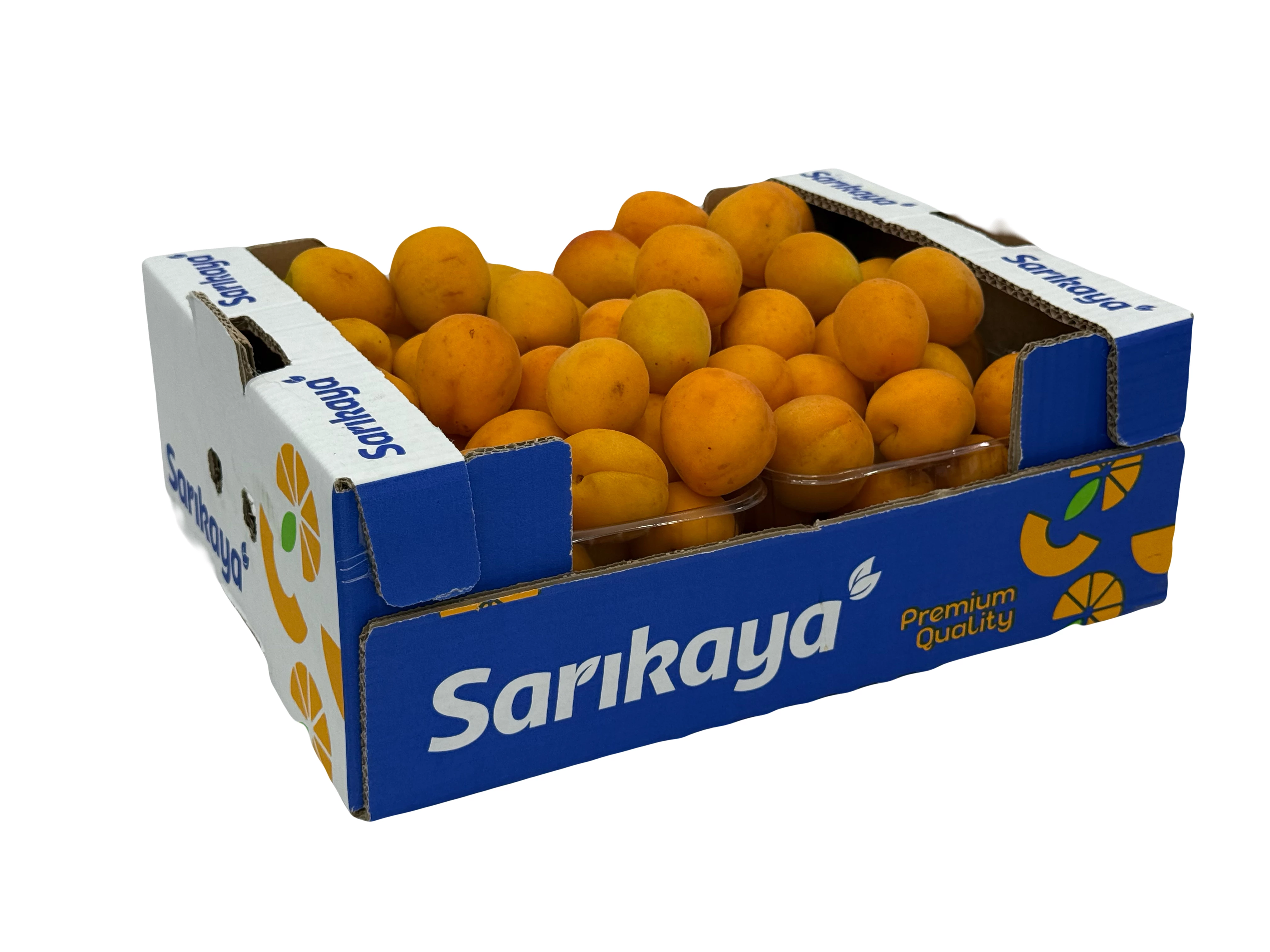 Apricot