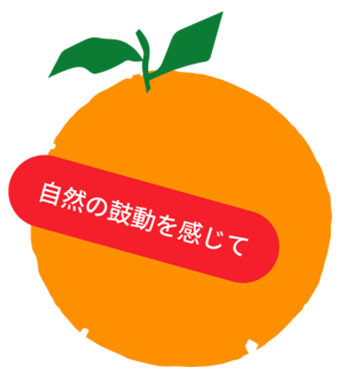 柑橘類